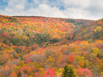 West virginia oral health technology initiative